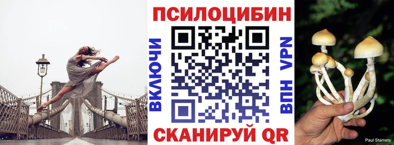 Галлюциногенные грибы Magic Shrooms  Красногорск 